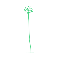 Plants Palms Betel Palm Outline Svg Vector, Free Vectors File